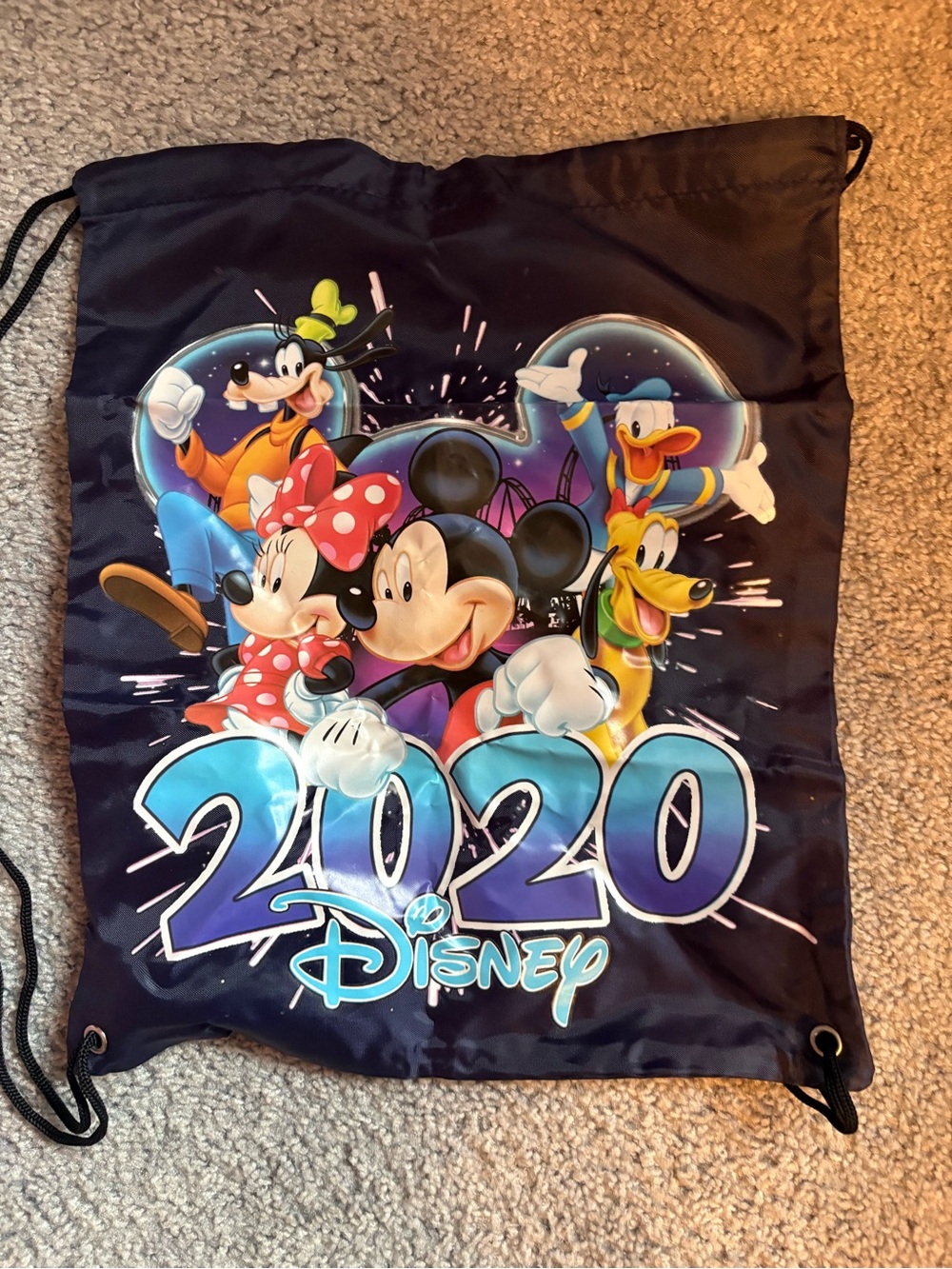 Disney Drawstring